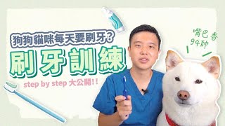 狗狗貓咪每天要刷牙毛孩刷牙訓練教學大公開 #狗狗刷牙 #貓咪刷牙 #寵物刷牙