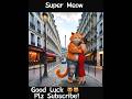 Did super  meow cross the line  what would you do funny cat rose love relationship shorts