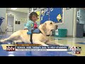 Therapy dog calms kids at Independence elementary school