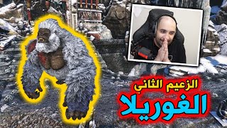 مواجهة ثاني زعماء آرك  !! ( الغوريلا ? )  #12 | ARK Survival Evolved