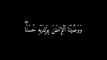 ووصينا الإنسان بوالديه حسنا وإن جاهداك لتشرك بي  | سورة العنكبوت شاشه سوداء