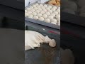 Alum Rock Halwa Puri Bilal Sweet Birmingham UK 