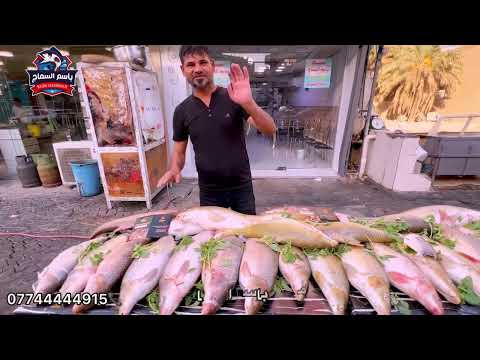 وين عشاق السمك الكطان