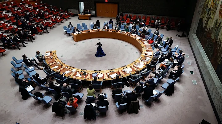 U.N. Security Council meets on Ukraine - DayDayNews