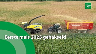 Download Lagu Eerst mais van 2025 gehakseld: ‘hier leef je het hele jaar naar toe’ MP3 Download Lagu Eerst mais van 2025 gehakseld: ‘hier leef je het hele jaar naar toe’ MP3