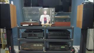 Azlina Aziz - Lupakanlah