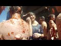 Tomatina Spain