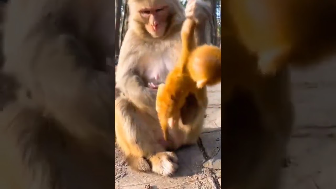 newborn baby and mom 