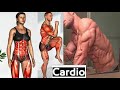 Fat Burning Cardio Workout - تمارين حرق الدهون