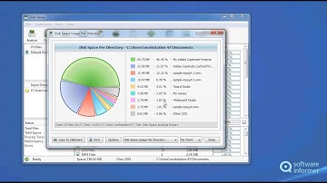 How to use Disk Savvy