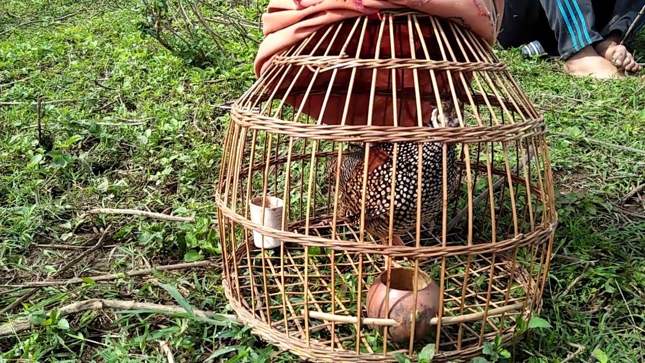 Suab noog qeb qag qag quaj cuab tuaj Zoo heev nawb. EP1