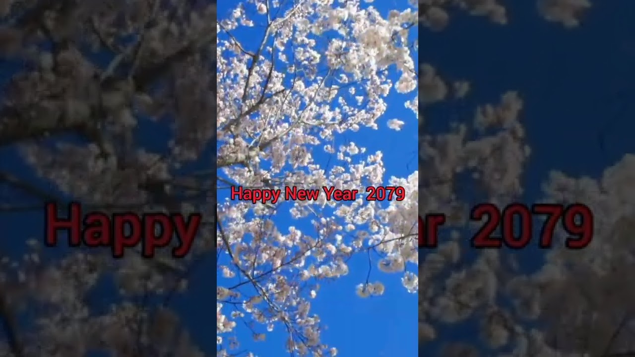 Happy new year 2079 