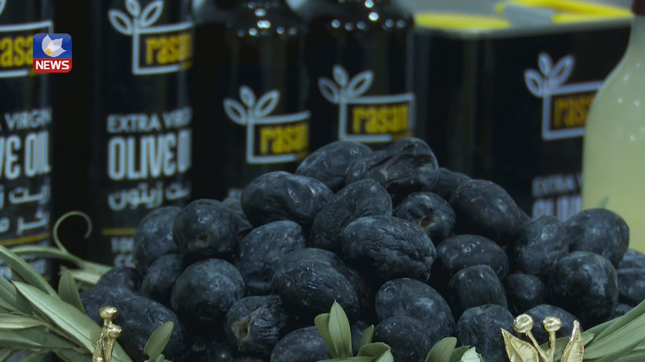 کارگەیەکی زەیتی زەیتون لە هەرێمی کوردستان لە ٢٤ سەعاتدا ١٢٠ تۆن رۆنی زەیتوون بەرهەمدەهێنێت