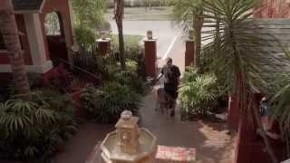 Floridawild Veterinary Hospital - Short Deland, Fl