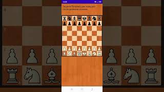 Защита Петрова Две Лучшие Шахматные Ловушки После Размена Конями  #chess