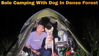 Overnight Solo Camping In Uttarakhand Forest | Camping With Scared Dog | Camping In India