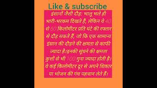 Bear ke rochak facts #facts #trending #rarefact #shortsfeed #shortviral #shorts #subscribe #real
