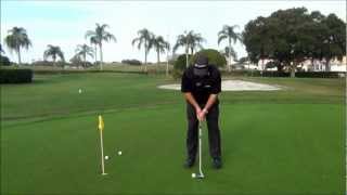 Celebrity Putting Forward Press Net Worth