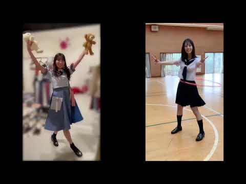 何がしたいのかわからない動画