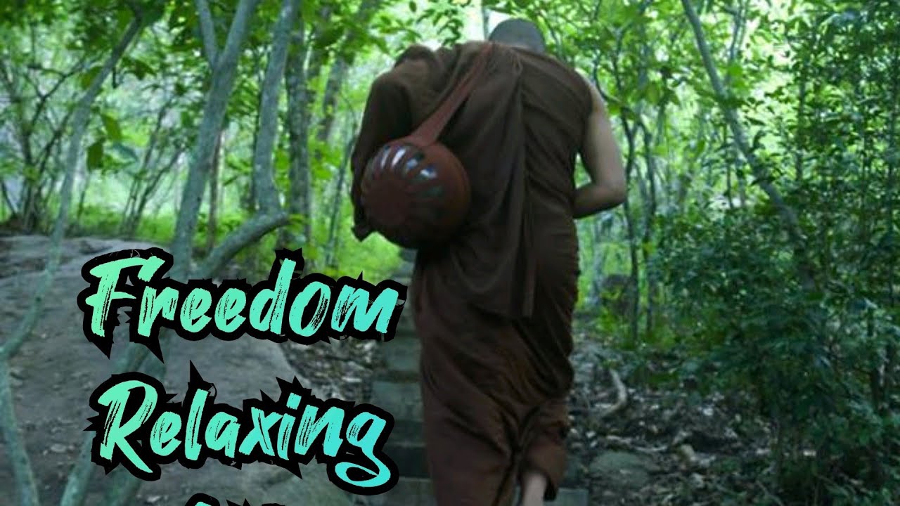 Amazing Life of buddist monk-Pilgrimage of Monk  |Jungle Temple In 
