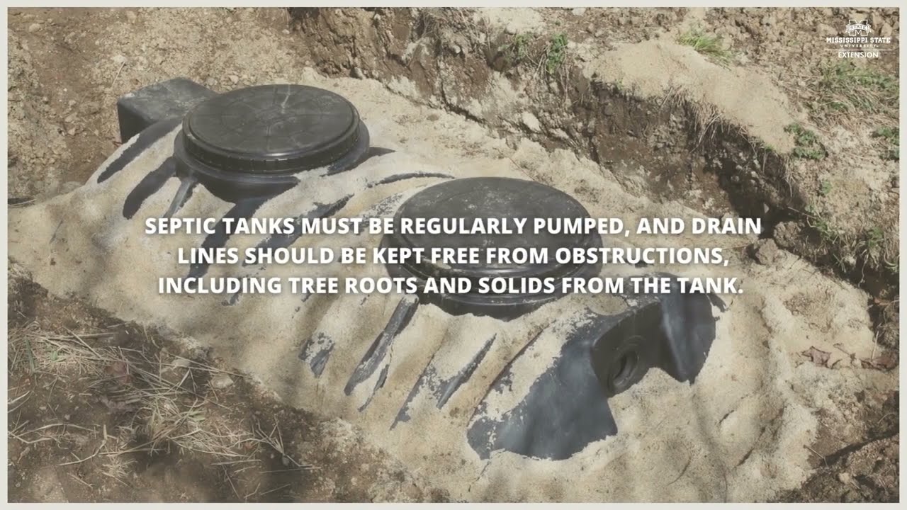Signs of a Failing Septic System YouTube