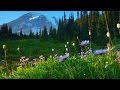 Relaxing Music: Peaceful Music, Instrumental Music "Nature's Landscapes" by Tim Janis