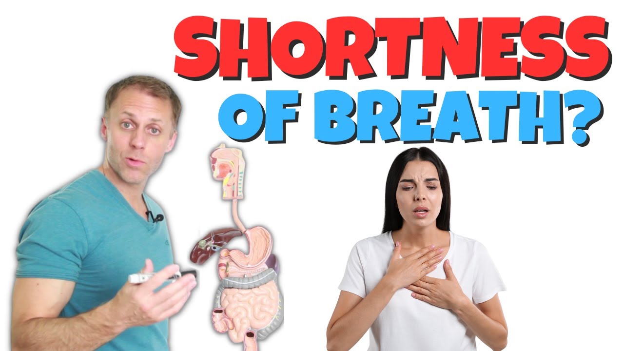 why-do-i-have-shortness-of-breath-dyspnea-youtube
