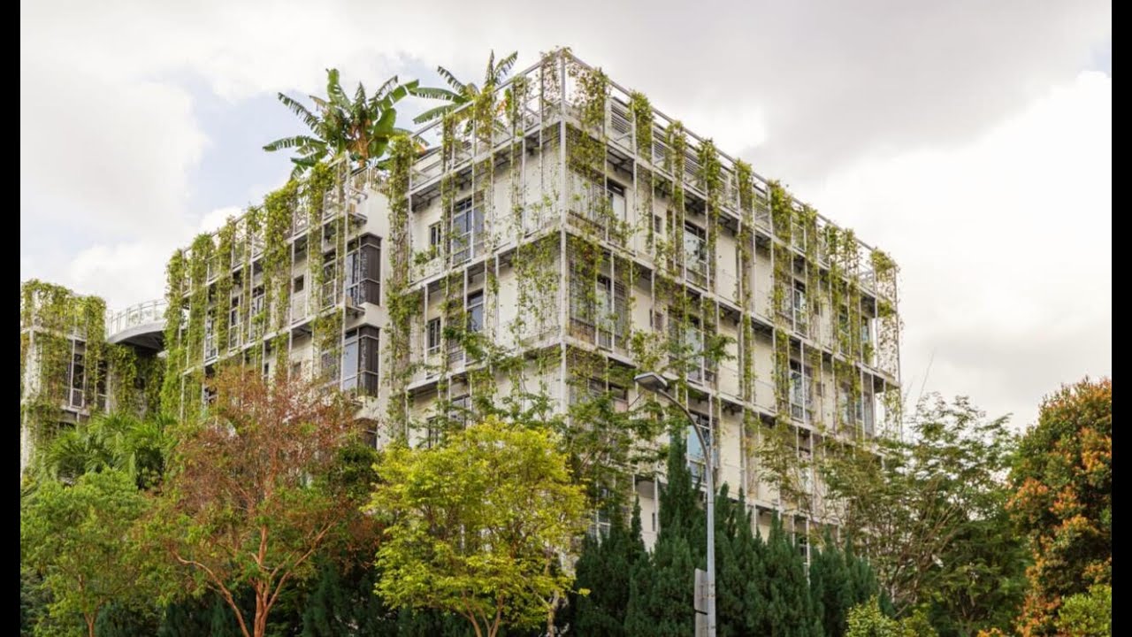 Are Dogs Allowed In Singapore Condos