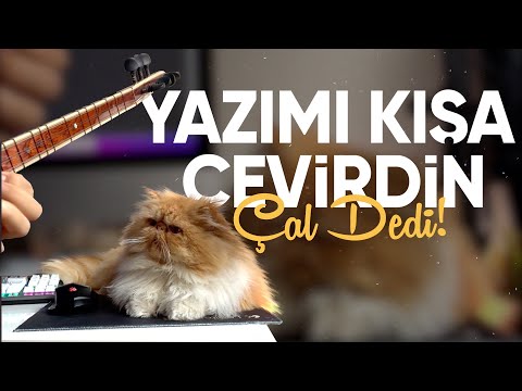 Yazımı Kışa Çevirdin Çal Dedi!