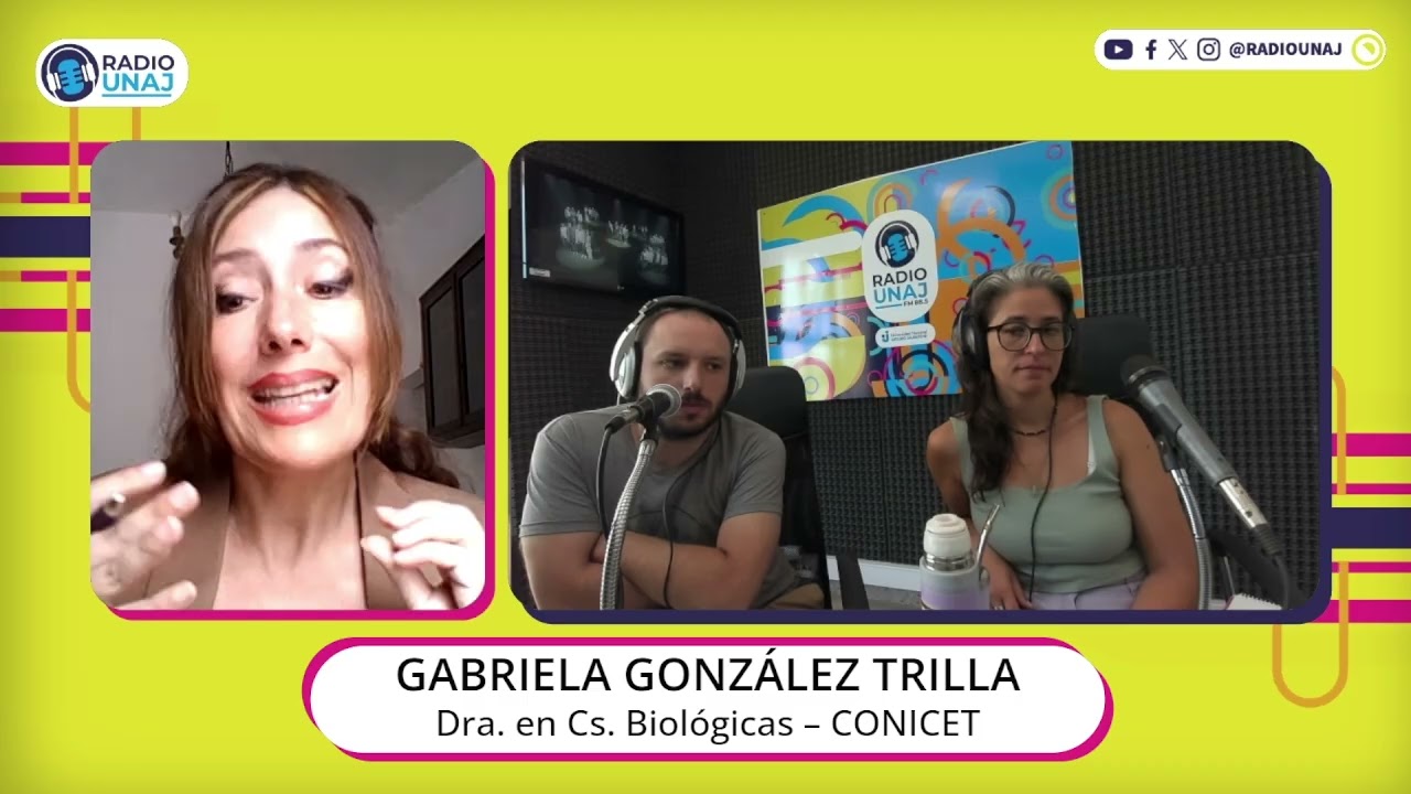 Ley de Glaciares: ¿Se puede hacer minería sin tocar los glaciares?