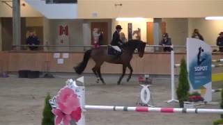 Hpp Sopot 2017 Dr Zamelus W