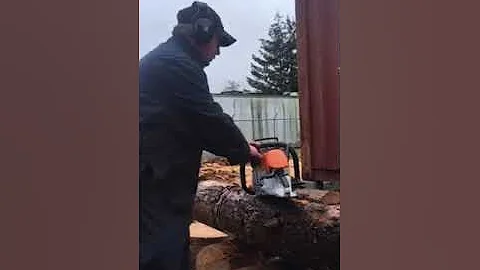 Donny walker 462 Stihl