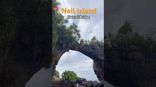 Most Beautiful Creature of God Natural Bridge| Neil Island| #neilisland #beach #travel