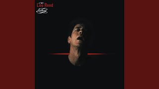 Video thumbnail of "Lou Reed - Big Sky"