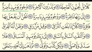 سورة القيامة - ياسر الدوسري - Surah Al-Qiyamah - Yasser Al-Dossari - (75)