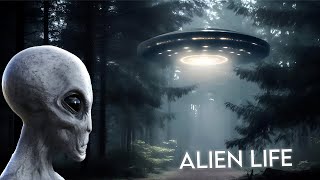 Brian Cox - The Dark Forest Hypothesis Alien Life