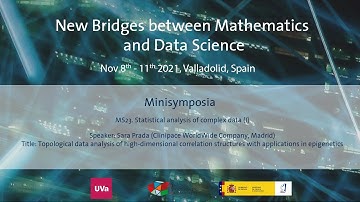 Topological data analysis of high-dimensional correlation structures with... by Sara Prada