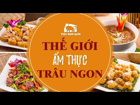 Video THẾ GIỚI ẨM THỰC TRÂU NGON - BẠN ĐÃ SẴN SÀNG KHÁM... - youtube
