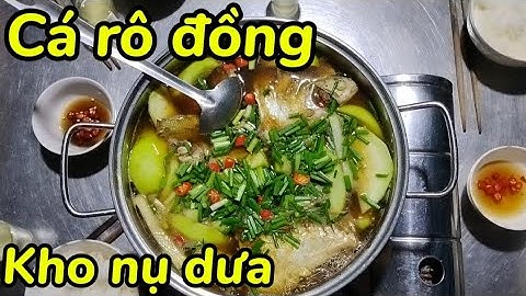 Hôm nay anh em đi câu cá rô đồng mùa nước lũ về kho nụ dưa quá ngon #t32#locnguyenag 