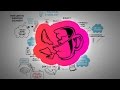 Understanding Antifragility