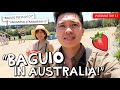 VLOGMAS DAY 11: "LITTLE BAGUIO IN AUSTRALIA?!" 😱🍓 PINAKYAW KO STRAWBERRIES!! 🤣 | Kimpoy Feliciano