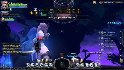 [Dragon Nest] New EX Skill lv 70 Light Fury