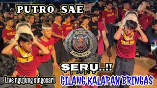 PUTRO SAE || SERU.!! GILANG KALAPAN BRINGAS || live NGUJUNG SINGOSARI 10/02/2024 malang