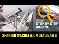 How to rig swimming baits for mackerel