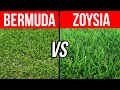 Bermuda vs Zoysia - Pros, Cons, and Tips to Help You Choose the Best Grass for Your Lawn