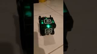 Anki Vector playing with its cube