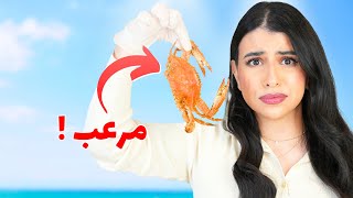Thumbnail for جربت ٧ أكلات عمري ما أكلتهم في حياتي !
