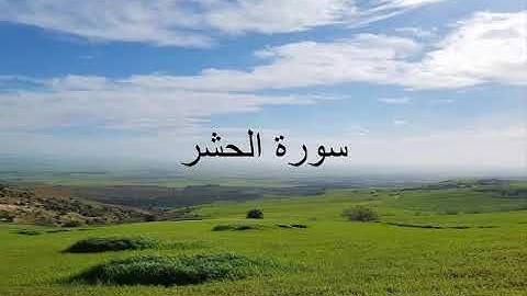 سورة الحشر  |  surah al hashr | هاني  الرفاعي