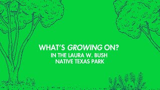 What's Growing On? In the Laura W. Bush Native Texas Park: Friendly Critters!