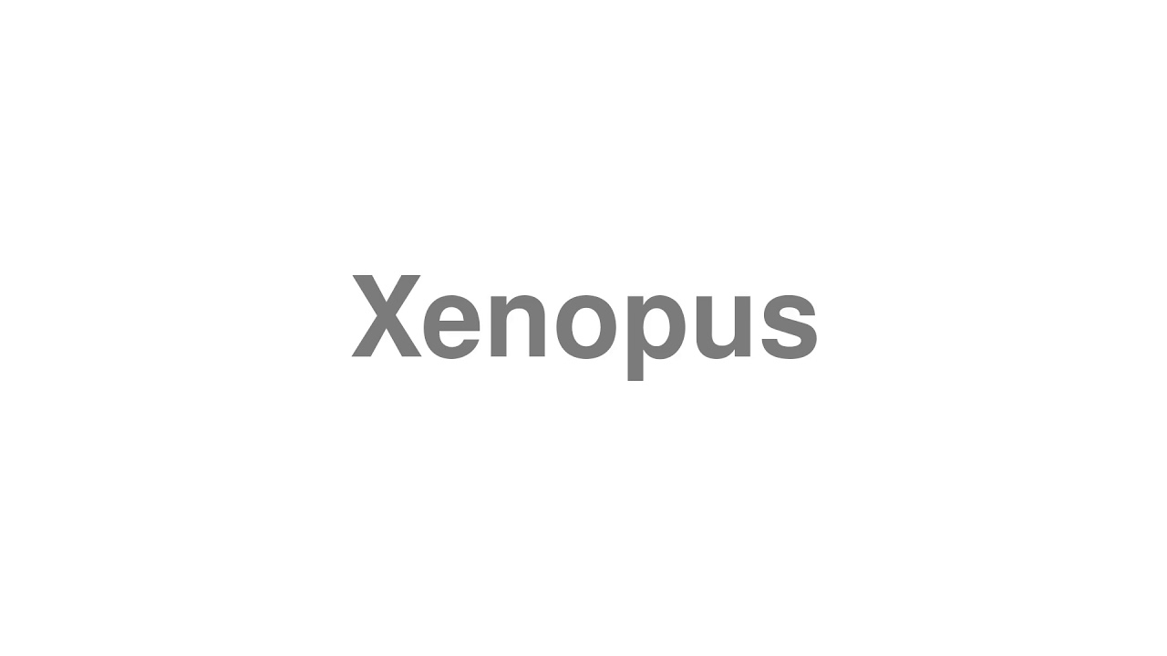 How to Pronounce "Xenopus"